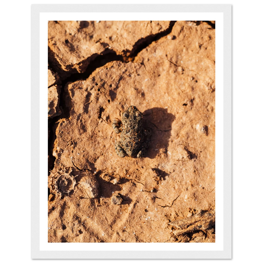 0b422ae5-76a4-4c02-adc4-6ec5f6dea3dc