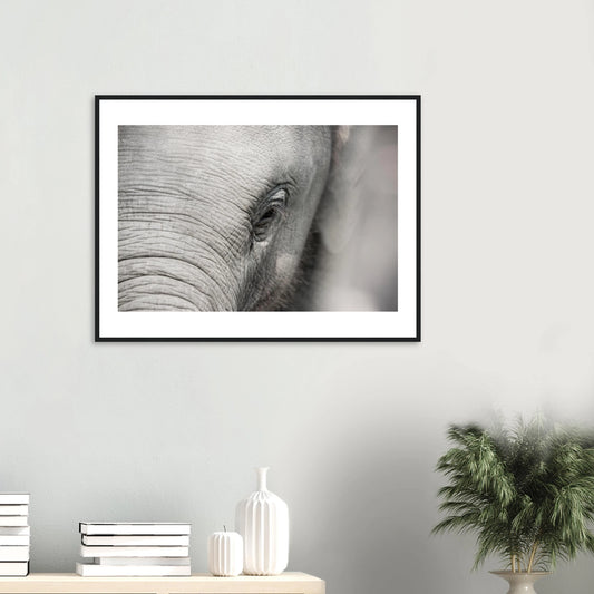 9dca7d16-4b06-49b6-a3bf-83fab1946547