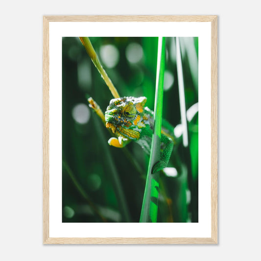 cd31e952-bd65-4606-bc84-ebb5bc815599