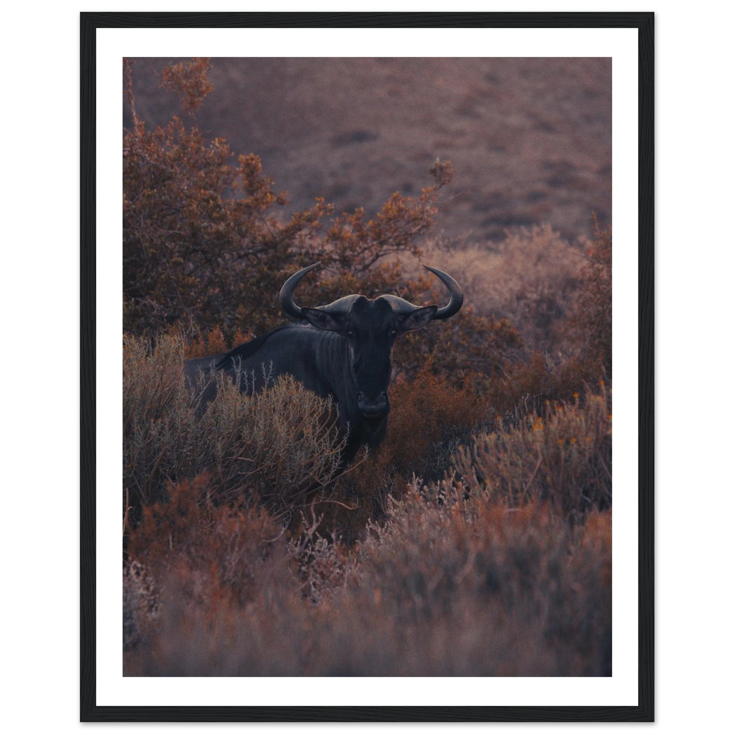 0bc18dcd-a70f-4638-a079-171ff3ab91bd