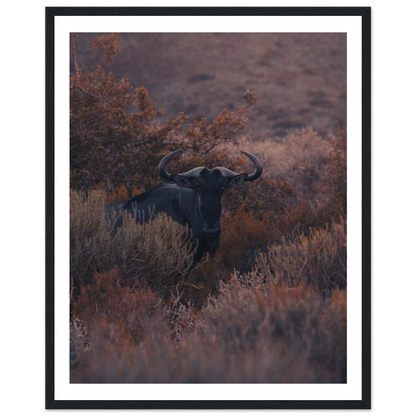 0bc18dcd-a70f-4638-a079-171ff3ab91bd