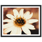 0cee85fa-1cc4-4467-850f-5477cb0491d8