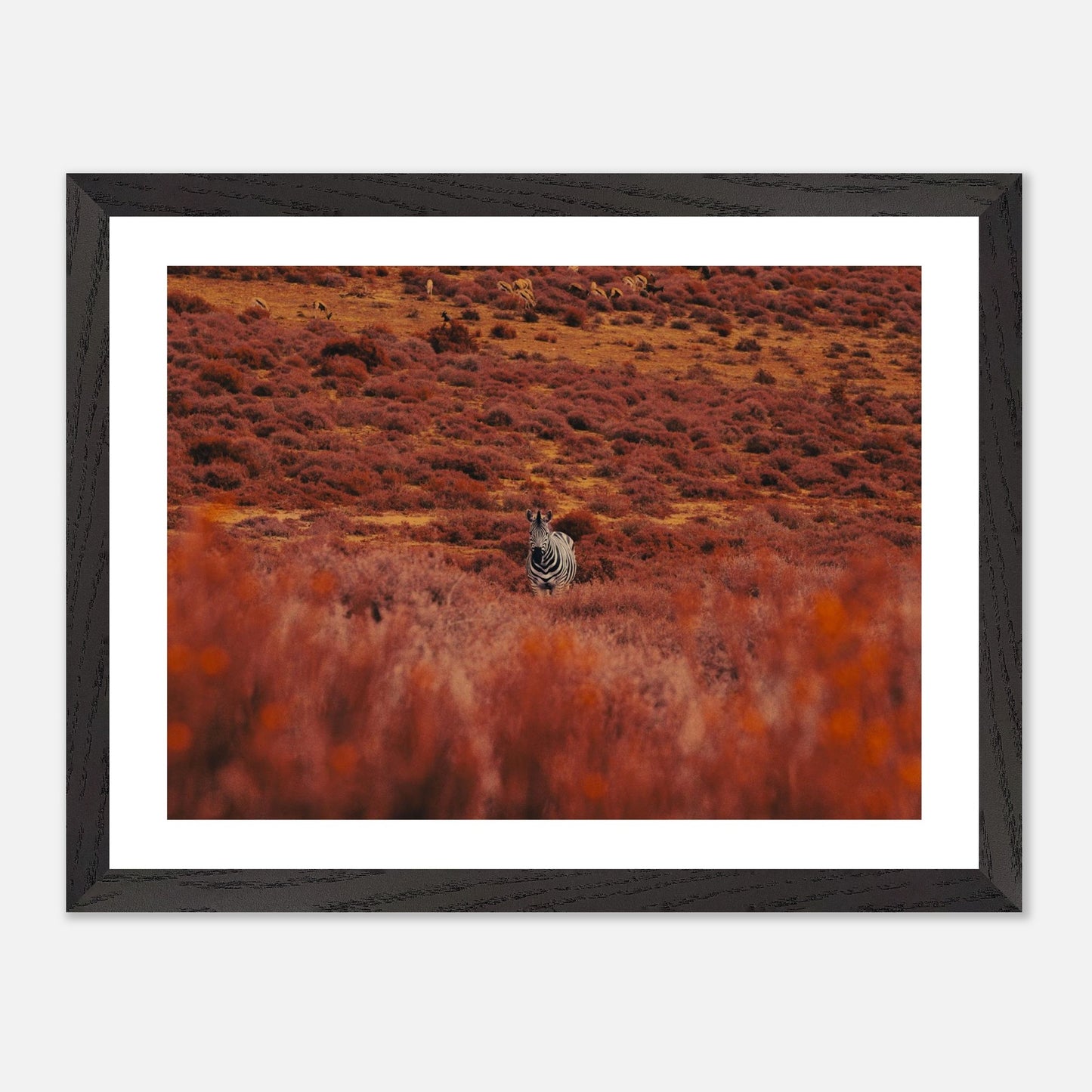 19712f30-2f3d-4c34-b120-0fc714e17c09