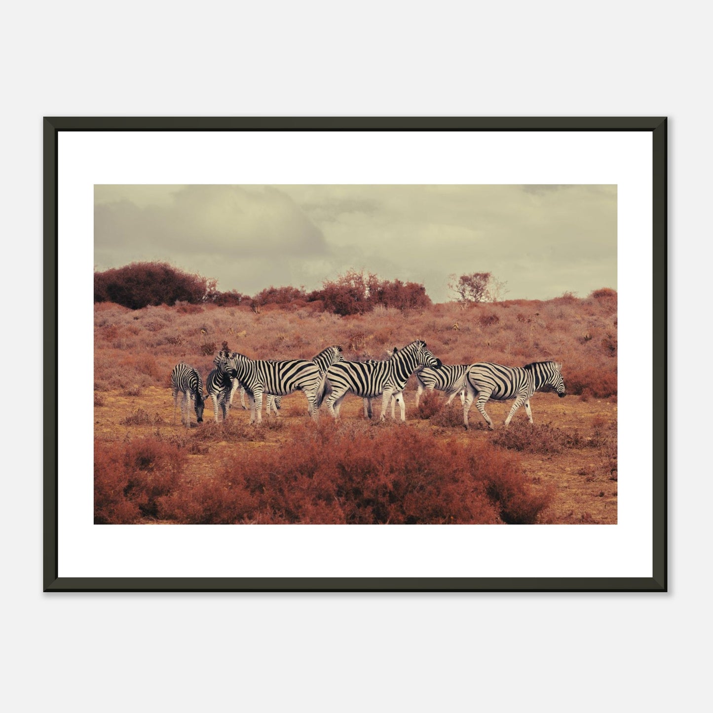 2ebec934-2401-4315-b6e6-84a4941a1a7c