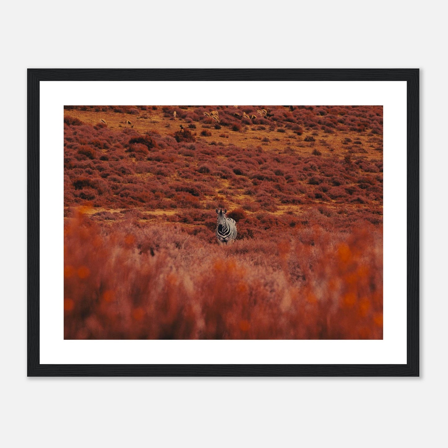 4d794b3c-fc98-4be2-bda5-2a6e87026cc2