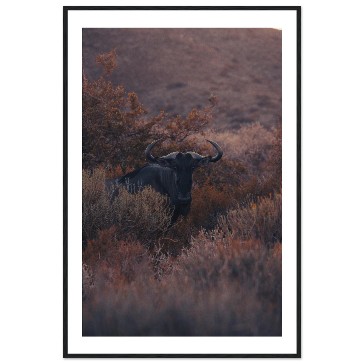 595d0982-e2c1-4fff-b432-9e7f28094450