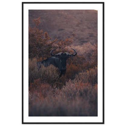 595d0982-e2c1-4fff-b432-9e7f28094450