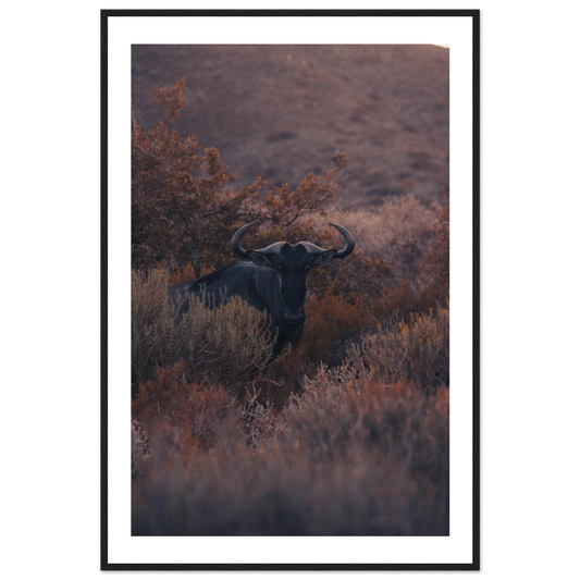 595d0982-e2c1-4fff-b432-9e7f28094450