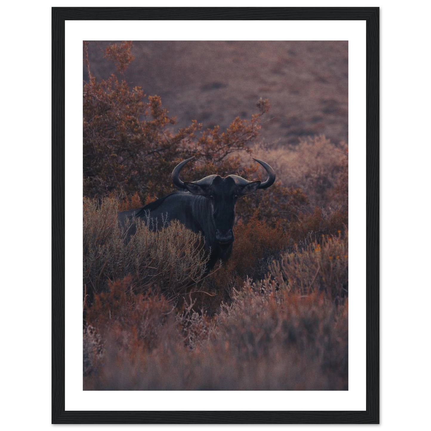 5bd9652e-916b-4960-9c93-aa31e0ada110