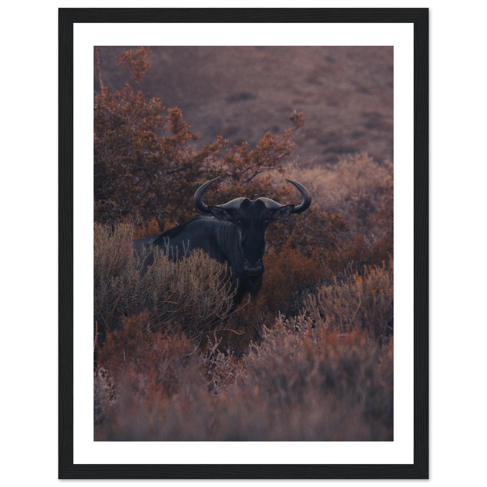 5bd9652e-916b-4960-9c93-aa31e0ada110