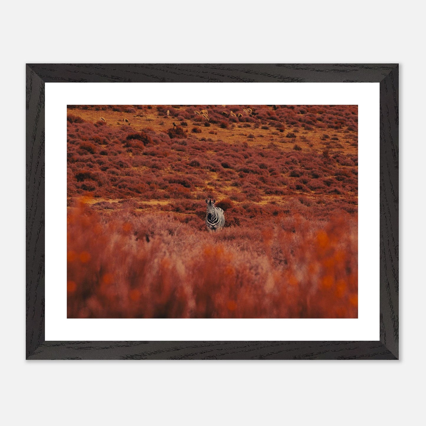 7e07d0fb-4178-4240-a06a-e11bc30f91a5