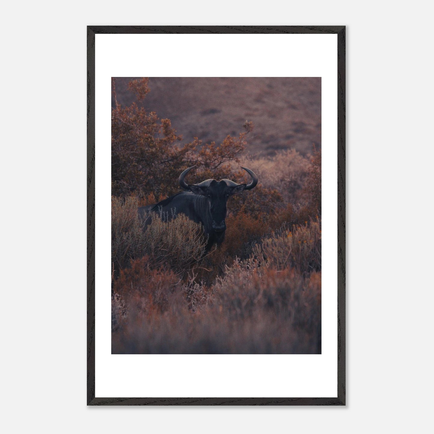 7f483d69-56c3-43f2-8301-11b54b0877c7