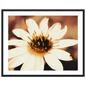 876bbcd5-3052-4d29-be40-7d14f7faa734