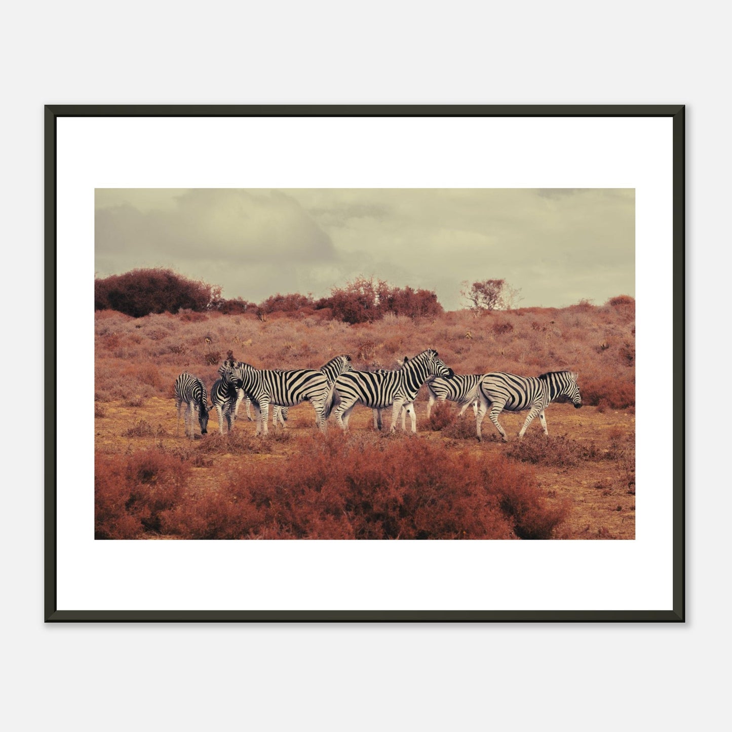 a1b0386e-065e-4cd1-9cb1-38445659bb54