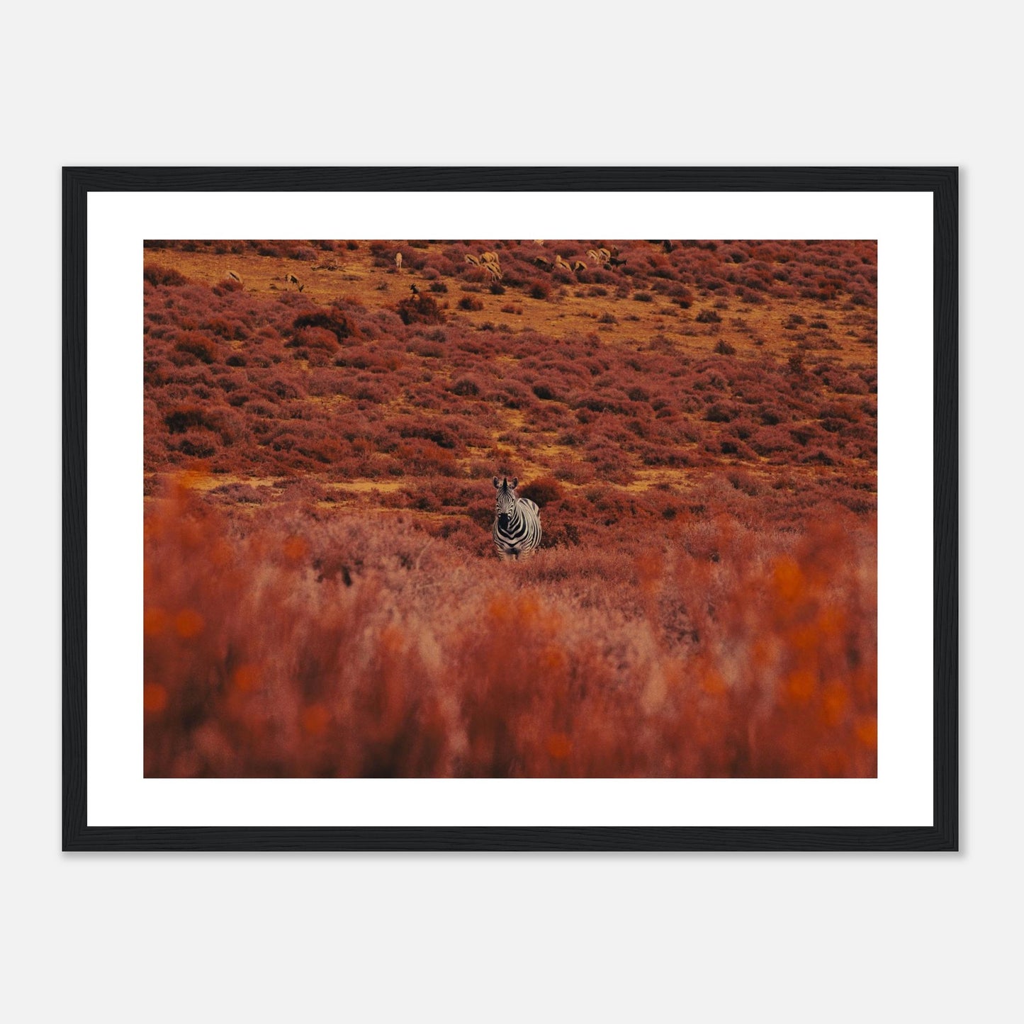 af30d6e3-f5d7-4f55-8013-9fe924fdf73b