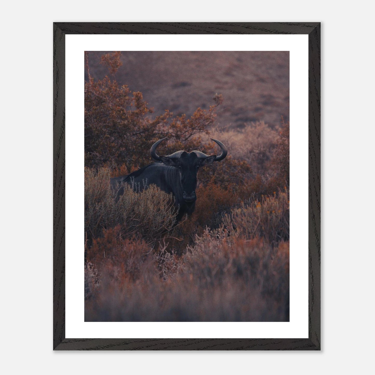 be31aada-3e8f-466f-9172-dd359cebf15e