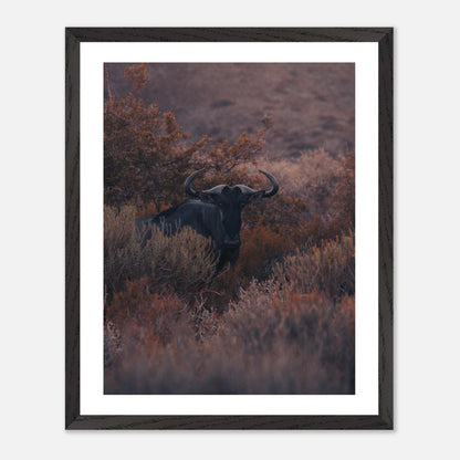 be31aada-3e8f-466f-9172-dd359cebf15e