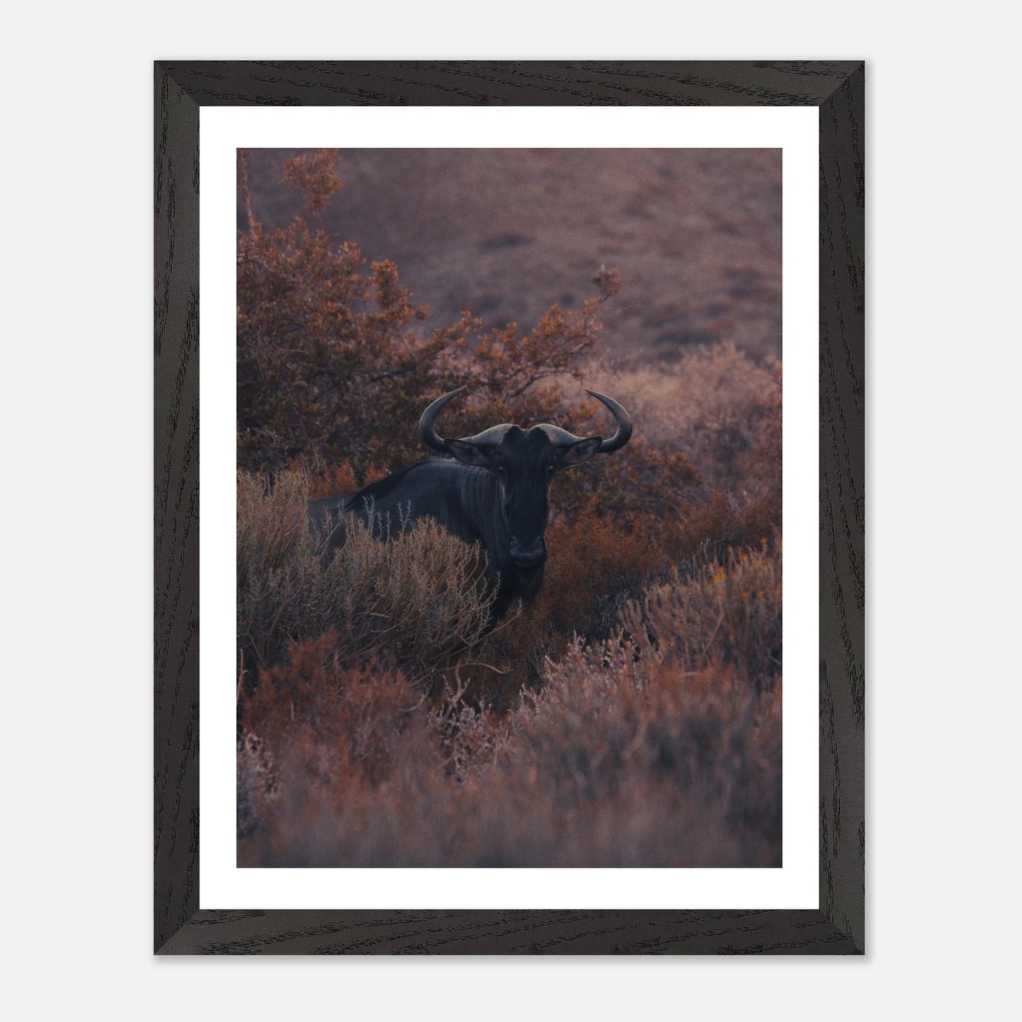 e05f37fd-2c62-401d-9f75-124bd7ab00e1