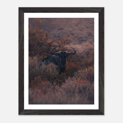 e05f37fd-2c62-401d-9f75-124bd7ab00e1