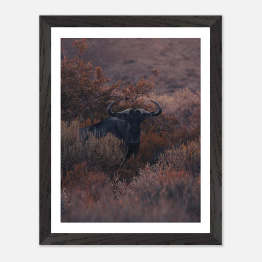 e05f37fd-2c62-401d-9f75-124bd7ab00e1