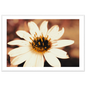 f0e74654-8f04-4aef-9def-862c4062867e