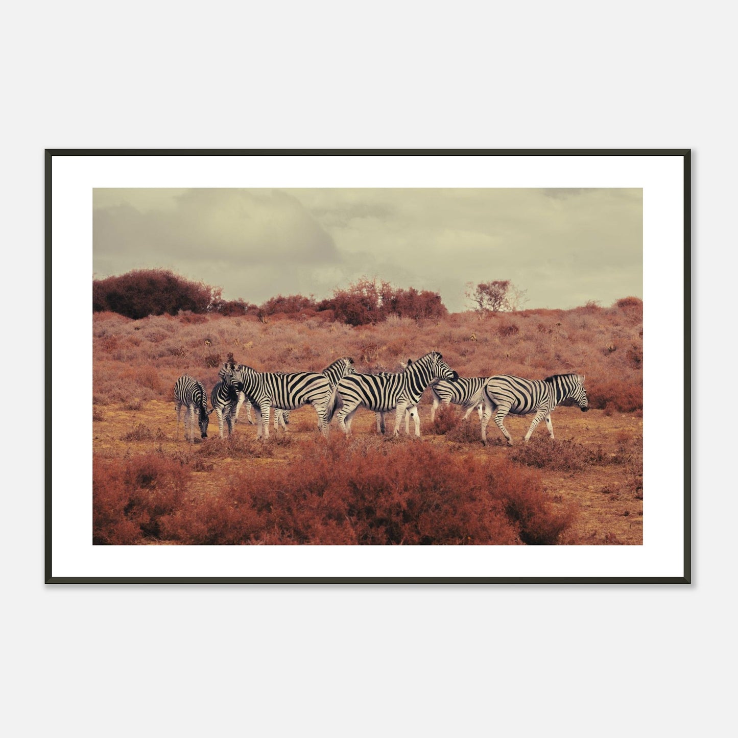 f11f9835-fd95-4868-8429-67a5a8bbfae8